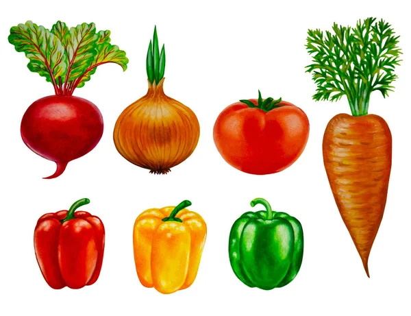 Isolated vegetables on white background - oil painting