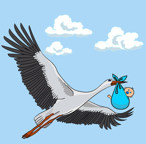 A stork flies against the sky with a baby in its beak.