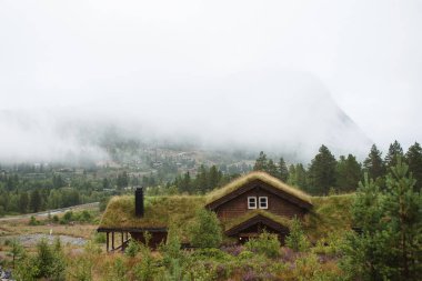 çimenlerin üzerinde çatı Norveç Valley ile ahşap ev
