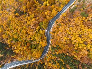 sonbahar orman yolda dron görünümü