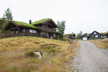 Ahşap evler ve Norveç'te köyünde yol