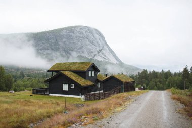 çimenlerin üzerinde çatı Norveç ile siyah ahşap ev
