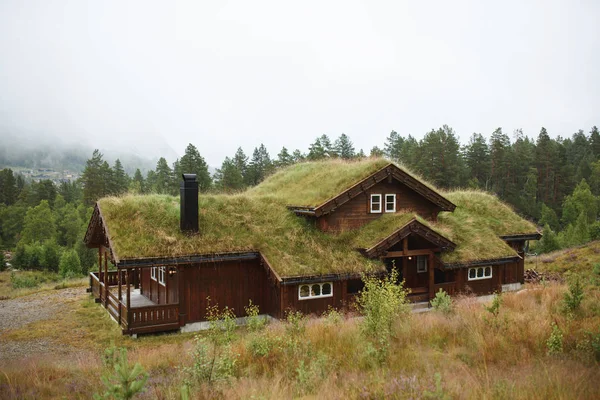 Norwegisches Holzhaus Mit Grasdach — Stockfoto