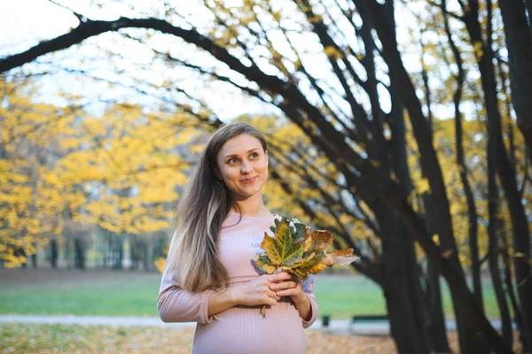 Gravid Kvinna Klänning Poserar Höst Park Och Hålla Färgglada Lämnar — Stockfoto