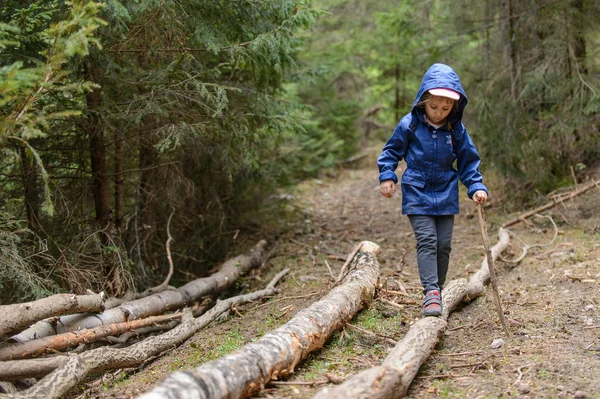 Uma Menina Com Pau Andando Log Floresta — Fotografia de Stock