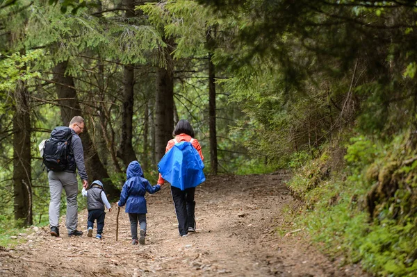 Father Mother Two Children Walking Pine Forest — Stock Photo, Image