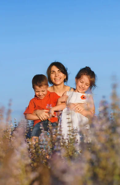 Madre Che Abbraccia Bambini Ridenti Nel Campo Salvia Viola — Foto Stock