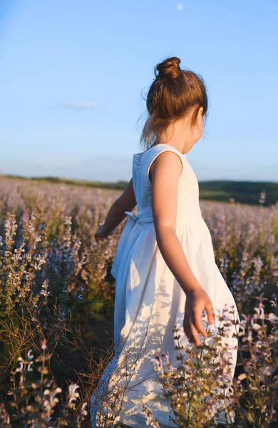 Girando Menina Por Sol Sábio Campo — Fotografia de Stock