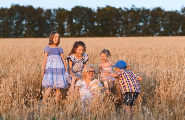 Nonna Diverte Con Bambini Nel Campo Grano Tramonto — Foto Stock