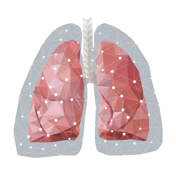 解剖学的な多角形の人間の肺の白い背景で隔離のベクトルの概念図 — ストックベクタ