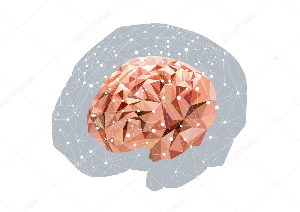 Vector concept illustration of anatomical polygonal human brain isolated on white background