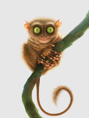 Tarsier maymun (Tarsius Syrichta, Filipinler) ışık gri arka plan üzerinde izole. Dijital sanat.