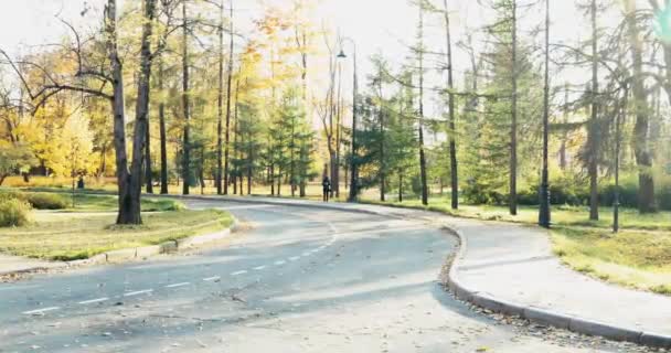 Goldener Herbst Park Spazierende Menschen Mit Haustier Paare Sitzen Auf — Stockvideo