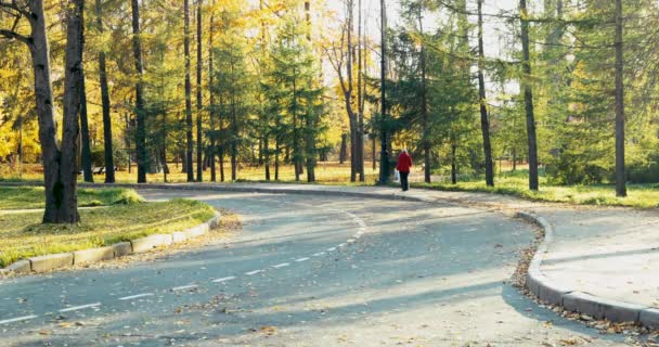 Golden Autumn Park Walking People Pet Couples Sit Benches People — Stock Video