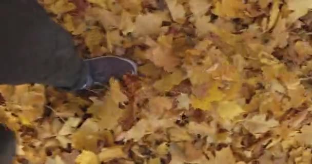 Beine Turnschuhen Rascheln Mit Gelben Blättern Goldener Herbst Schwarze Hose — Stockvideo