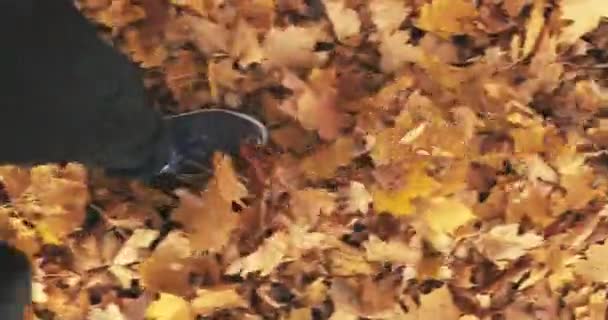 Ноги Кроссовках Шелестят Желтыми Листьями Золотая Осень Черные Брюки Черные — стоковое видео
