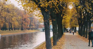 Setin Moika Nehri, Mikhaylovskiy Bahçe altın sonbahar, park, yaprak düşer, insanlar yürüyen