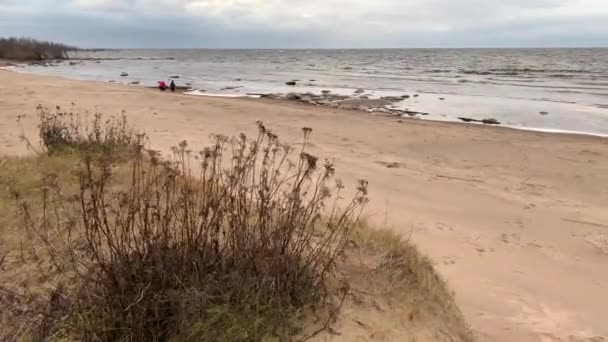 Pantai Berbatu Liar Angin Kencang Gelombang Sering Langit Biru Gubuk — Stok Video