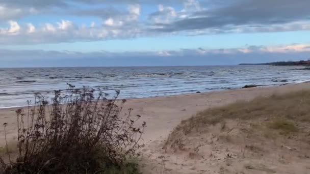 野生の石海岸 強い風 頻繁に波 青い空 遠くに小屋 砂浜の海岸 大きな岩に乾いた草 — ストック動画