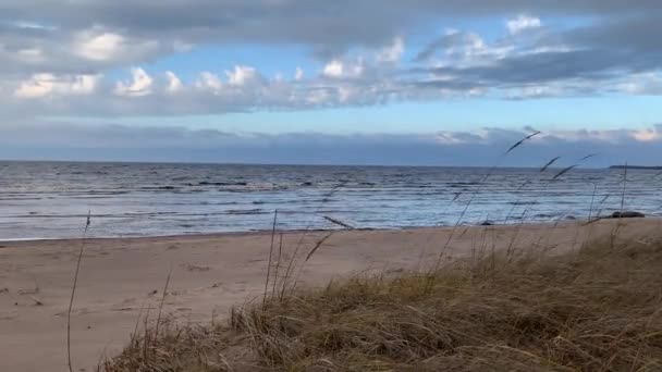 Costa Pedregosa Salvaje Viento Fuerte Las Olas Frecuentes Cielo Azul — Vídeo de stock