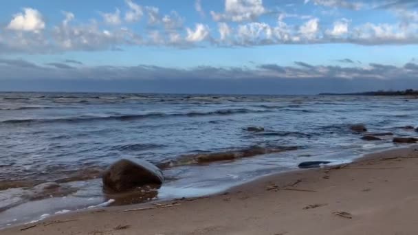 野生の石海岸 強い風 頻繁に波 青い空 遠くに小屋 砂浜の海岸 大きな岩に乾いた草 — ストック動画