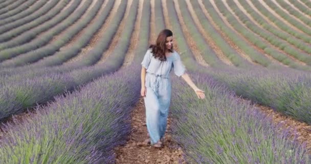 Beautiful Young Girl Blue Dress Walks Field Lavender Long Curly — Stock Video