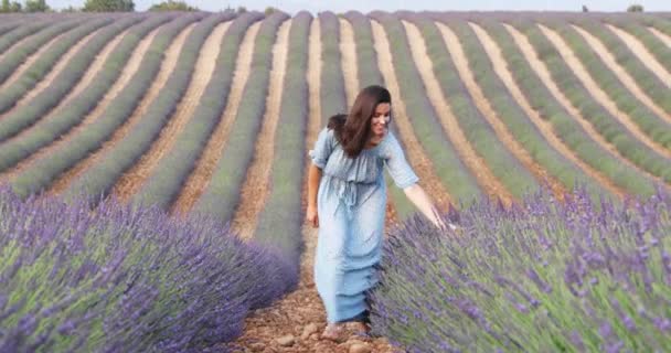 穿着蓝色衣服的美丽年轻女孩穿过薰衣草的田野 长长的卷发 微笑着 背景上的山 园丁的房子 薰衣草的视角 — 图库视频影像