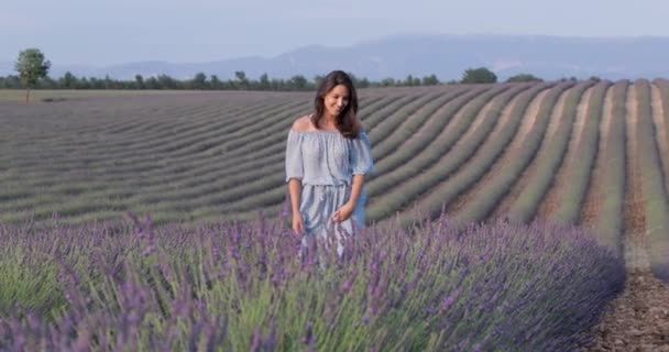 드레스에 여자는 라벤더 즐거움 배경에 정원사 라벤더의 관점의 들판을 가로질러 — 비디오