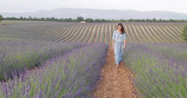 Beautiful Young Girl Blue Dress Walks Field Lavender Long Curly — Stock Video