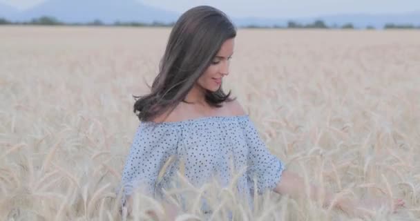 夕日の光 ターン ぶりっ子 フィールドに長いブルネットの毛ポーズ美しい少女青いドレス フランス プロヴァンス — ストック動画