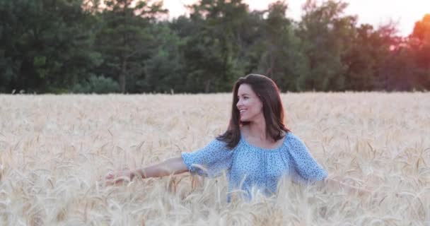 Hermosa Joven Con Largos Pelos Morenos Posa Campo Con Trigo — Vídeo de stock