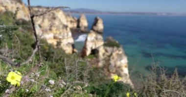 Ponta da Piedade, ünlü yer Güney Portekiz, Lagos Şehir, kayalık sahil, Atlantik Okyanusu, keskin dalgaların kayalar, masmavi su, sarı çiçekler, kemer, kimse, vahşi beach