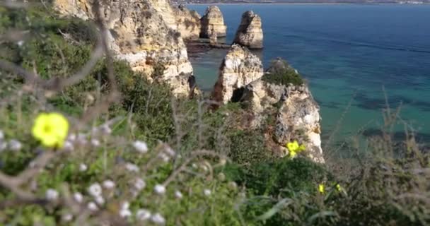 Ponta Piedade Znani Południowej Portugalii Miasto Lagos Skaliste Wybrzeże Fale — Wideo stockowe
