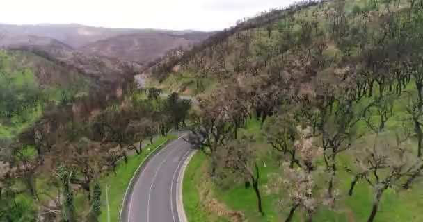 Lotnicze Wideo Ruchu Trzy Samochody Kręte Drogi Wśród Wzgórz Wśród — Wideo stockowe