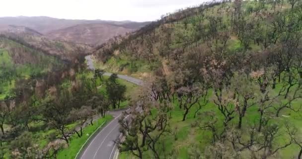 Luftbild Der Kurvenreichen Straße Zwischen Hügeln Zwischen Verbranntem Holz Den — Stockvideo