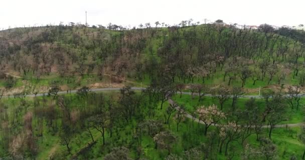 Luftbild Der Kurvenreichen Straße Zwischen Hügeln Zwischen Verbranntem Holz Den — Stockvideo