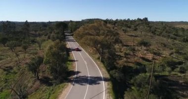 Portekiz, ağaçlar bir yeşil çimen, güneşli hava, güneş ağaçlar, çayır, alanları aracılığıyla karşı tepeler arasında büküm yolda spor araba hareket hava video