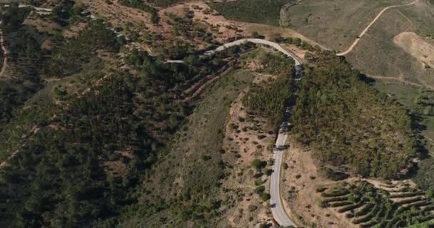 Vidéo aérienne de mouvement de la voiture de sport sur la route sinueuse entre les collines du Portugal, arbres contre une herbe verte, temps ensoleillé, soleil à travers les arbres, prairie, champs 
