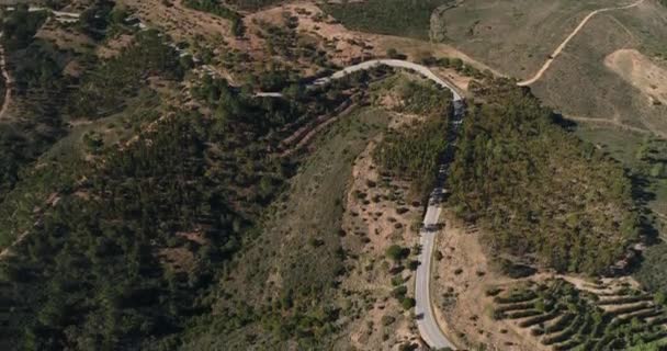 在葡萄牙丘陵之间的曲折道路上行驶跑车的空中视频 树木与绿草对着草 阳光明媚的天气 阳光穿过树木 — 图库视频影像