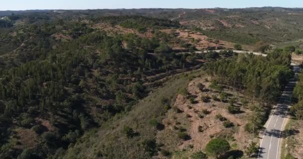 Vídeo Aéreo Del Movimiento Del Automóvil Deportivo Por Camino Tortuoso — Vídeos de Stock