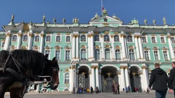 Russland Heiliger Petersburg April 2019 Palastplatz Einsiedeleimuseum Alexandersäule Bei Sonnigem — Stockvideo