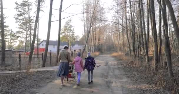 ロシア Sosnoviy Bor 2019 サンセット 公園のゾーン 木を通る太陽の光に乗って 赤ちゃんの馬車と2人の娘が森の道路に行くと 彼らは一緒に話します — ストック動画