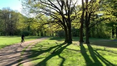 Genç adam hızla bisikletle parkta, baharda ormanda, uzun ağaç gölgeleri, mavi gökyüzü, ağaçların tomurcukları, huş gövdeleri, güneşli bir gün, ormandaki patika
