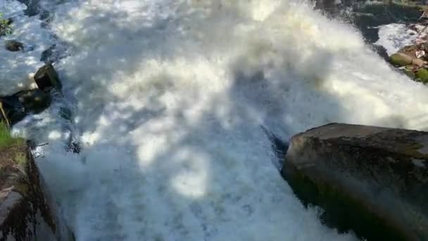 숲 속의 화창 한 날씨에 강에 떠 있는 작은 댐에서 빠르게 흐르는 물 — 비디오