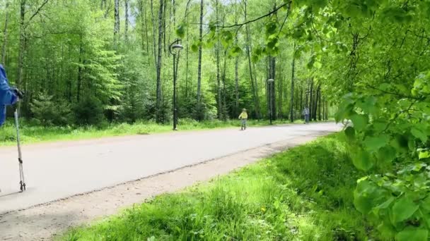 Rusia, San Petersburgo, 03 de junio de 2020: Las personas mayores caminan con palos en el parque, la primavera en un bosque, los niños montan en bicicleta, árboles verdes, cielo azul, troncos de abedules, día soleado, camino en el bosque — Vídeos de Stock