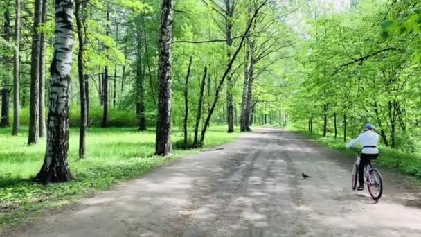 Dos ciclistas en ropa brillante van en un camino en el bosque, primavera en un bosque, largas sombras de árboles, cielo azul, brotes de árboles, troncos de abedules, día soleado, camino en el bosque — Vídeo de stock