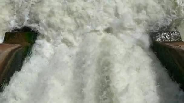 Flujo rápido de agua en una pequeña presa en el río en el bosque, tiempo soleado — Vídeos de Stock