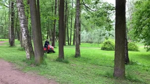 Ryssland, St Petersburg, 08 juni 2020: Trädgårdsmästaren klipper en grön gräsmatta på en gräsklippare, man klädd i mössa, stammar av träd, namnet på märket är Husqvarna, är högt ljud — Stockvideo