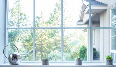 Pencerede sulu bitkiler ve sulama olabilir ile Pencere