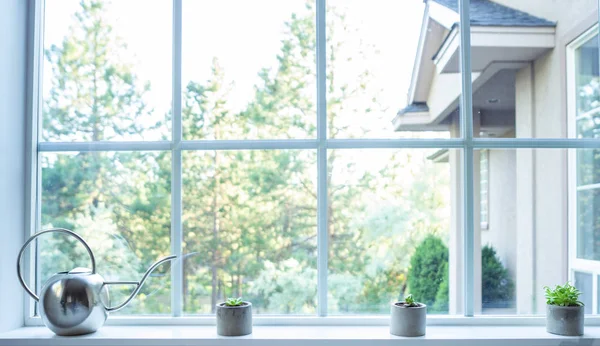 Pencerede sulu bitkiler ve sulama olabilir ile Pencere